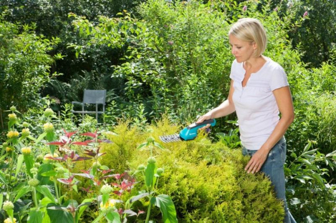 Аккумуляторные ножницы для газонов и кустарников GARDENA AccuCut 09851 в Екатеринбурге