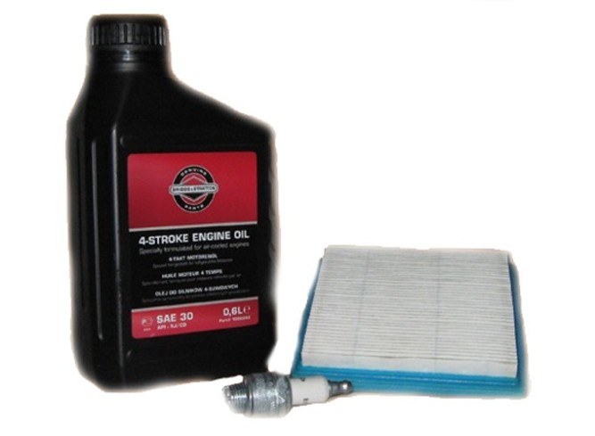 Набор для техобслуживания двигателя B &amp;amp; S в Екатеринбурге