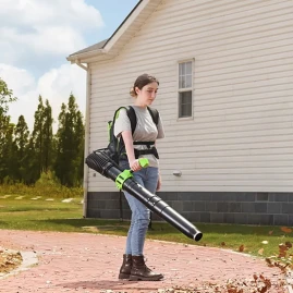 Ранцевая воздуходувка аккумуляторная Greenworks GD40BPG2, 40V, бесщеточная, с 1хАКБ 4 Ач и ЗУ