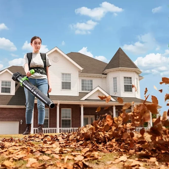 Ранцевая воздуходувка аккумуляторная Greenworks GD40BPG2, 40V, бесщеточная, с 1хАКБ 4 Ач и ЗУ в Екатеринбурге