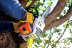 Бензопила STIHL MS 193 T 14" в Екатеринбурге