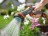 Пистолет-распылитель для полива Comfort GARDENA 18321-20.000.00 (старый код 08102-29.000.00) в Екатеринбурге
