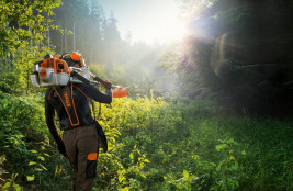 Триммер Stihl FS 350