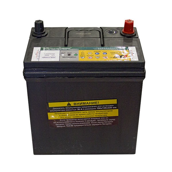 Аккумулятор CHAMPION DG10000E/DG10000E-3/DG6501ES (12V 36Ah 196/128/220мм) в Екатеринбурге