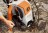 Мойка высокого давления STIHL RE 130 PLUS в Екатеринбурге