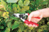 Садовые ножницы Stihl Felco F12 в Екатеринбурге