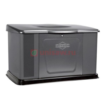 Генератор газовый Briggs &amp;amp; Stratton 14000