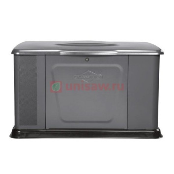 Генератор газовый Briggs &amp;amp; Stratton 11000