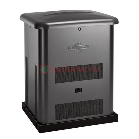 Генератор газовый Briggs &amp; Stratton 8000 в Екатеринбурге