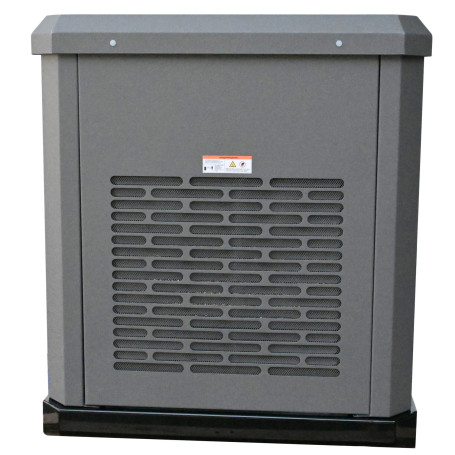 Газовый генератор EVOline GNG 19000 E в Екатеринбурге