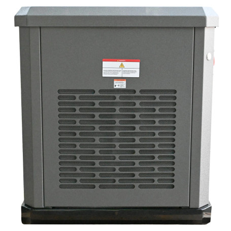 Газовый генератор EVOline GNG 19000 E в Екатеринбурге
