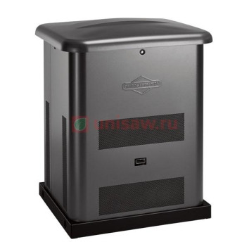 Генератор газовый Briggs &amp;amp; Stratton 6000