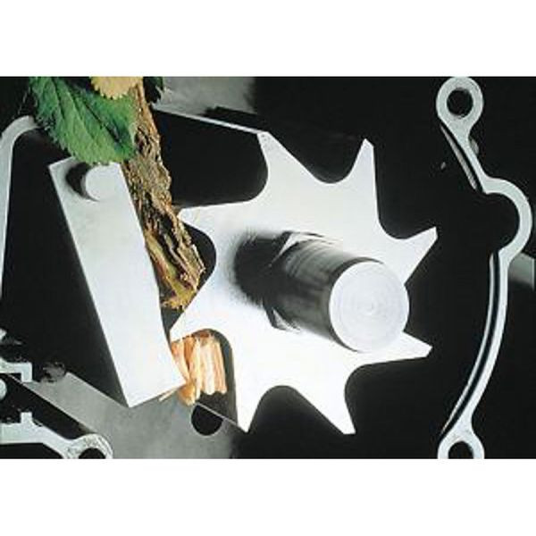 Электрический измельчитель EVOline BSE 2800 C в Екатеринбурге