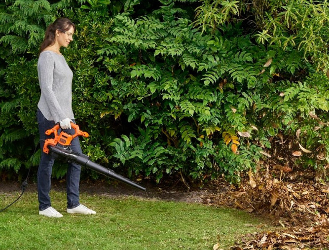 Электрическая воздуходувка EVOline BLE 2600 VAC в Екатеринбурге