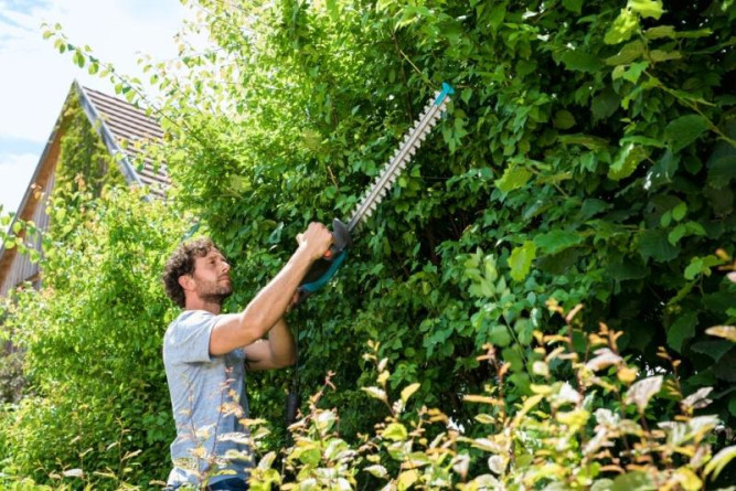 Электроножницы садовые GARDENA EasyCut 500/55 09832 в Екатеринбурге