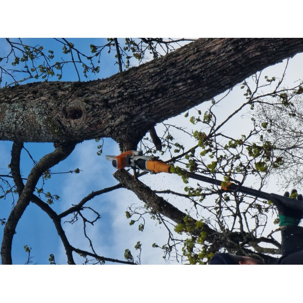 Пила цепная аккумуляторная VILLARTEC SA1462S SET AC1415 (1шт), AM1415 (1шт), без кейса в Екатеринбурге