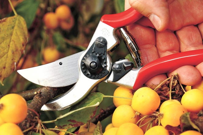 Садовые ножницы Stihl Felco F2 в Екатеринбурге