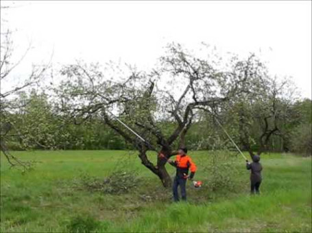 Высоторез STIHL HT 131 41822000092 в Екатеринбурге