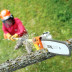 Высоторез STIHL HT 131 41822000092 в Екатеринбурге