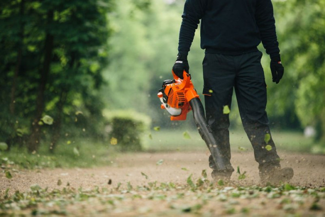 Воздуходувное устройство Echo PB-250 в Екатеринбурге