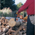 Бензопила STIHL MS 250 16" 11232000831 в Екатеринбурге
