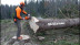 Бензопила STIHL MS 500i в Екатеринбурге