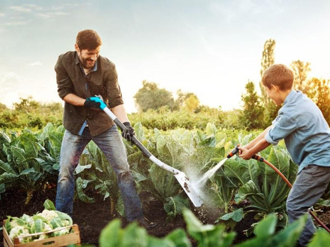 Лопата Terraline™ садовая GARDENA 03771-24.000.00 в Екатеринбурге