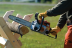 Бензопила STIHL MS 180 16" C-BE в Екатеринбурге