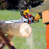 Бензопила STIHL MS 180 16" C-BE в Екатеринбурге