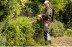 Садовые ножницы аккумуляторные STIHL НSA 94 T 75 см без аккумулятора в Екатеринбурге