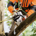 Аккумуляторная цепная пила STIHL MSA 161 T 12" (30см) 1/4"p 65 зв без аккумулятора в Екатеринбурге