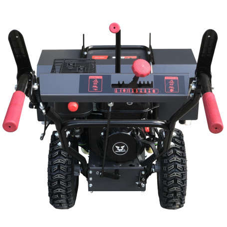 Подметальная машина бензиновая EVOline SWG 800 B в Екатеринбурге