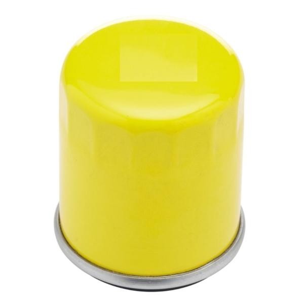 Фильтр масляный BRIGGS &amp;amp; STRATTON 798576 в Екатеринбурге