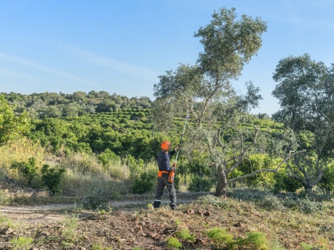 Аккумуляторная цепная пила-высоторез Husqvarna 530iPT5 в Екатеринбурге