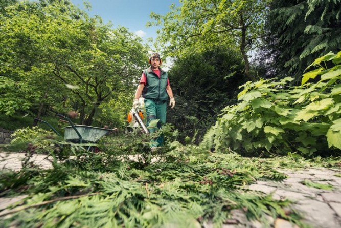 Воздуходувка бензиновая STIHL BG 86 42410111732 в Екатеринбурге