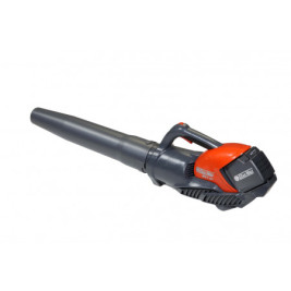 Воздуходувка аккумуляторная Oleo-Mac BVI 60 40V (с акк. и ЗУ)
