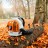 Воздуходувка STIHL BR 500 42820111610 бензиновая ранцевая в Екатеринбурге