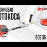 Бензиновая мотокоса EVOline BCG 36 (4T) в Екатеринбурге