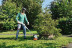 Триммер электрический STIHL FSE 71 в Екатеринбурге