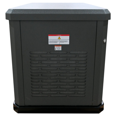 Газовый генератор EVOline GNG 9350 E в Екатеринбурге