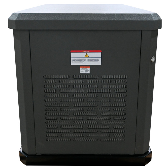 Газовый генератор EVOline GNG 9350 E в Екатеринбурге