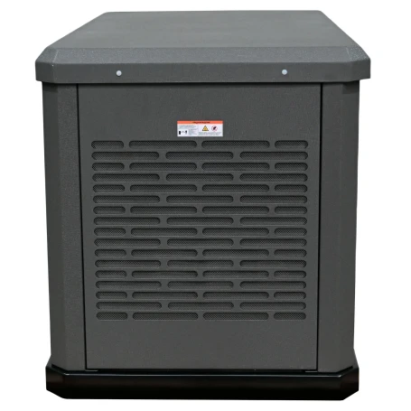 Газовый генератор EVOline GNG 9350 E в Екатеринбурге