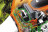 Триммер Stihl FS 460 Диск 300 мм - 3, AutoCut 46-2 в Екатеринбурге