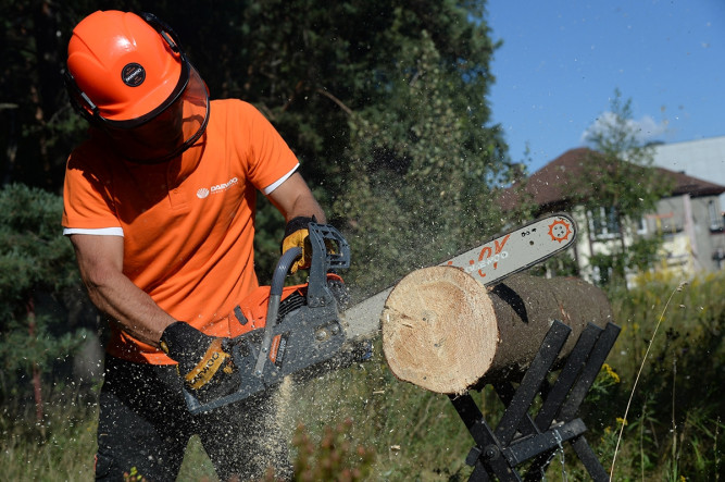 Бензопила Daewoo DACS 5820XТ в Екатеринбурге