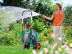 Тележка для шланга  60 HG Classic GARDENA 08003-20.000.00 в Екатеринбурге