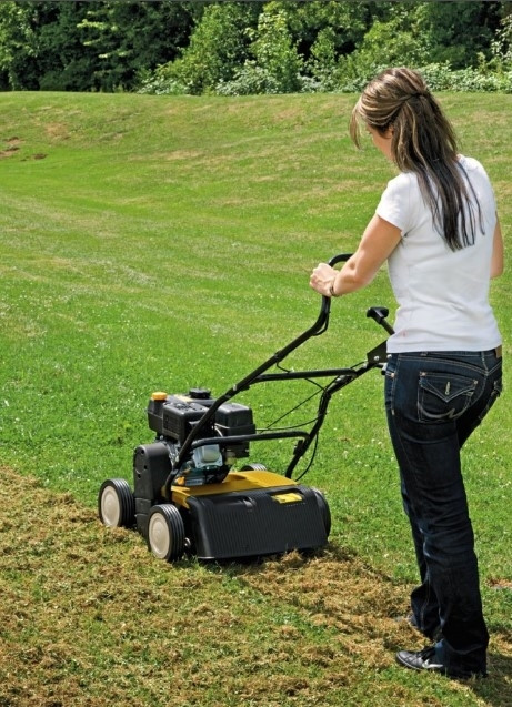 Вертикуттер бензиновый Cub Cadet XC1 B35 в Екатеринбурге