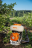 Опрыскиватель STIHL SR 200 D 42410112603 в Екатеринбурге