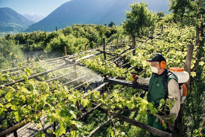 Опрыскиватель STIHL SR 200 D 42410112603 в Екатеринбурге