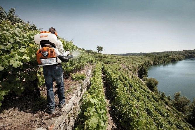 Опрыскиватель STIHL SR 430 42440112600 в Екатеринбурге