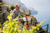 Опрыскиватель STIHL SR 450 42440112641 в Екатеринбурге